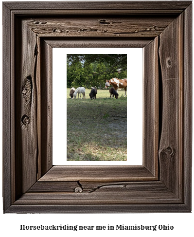 horseback riding near me in Miamisburg, Ohio